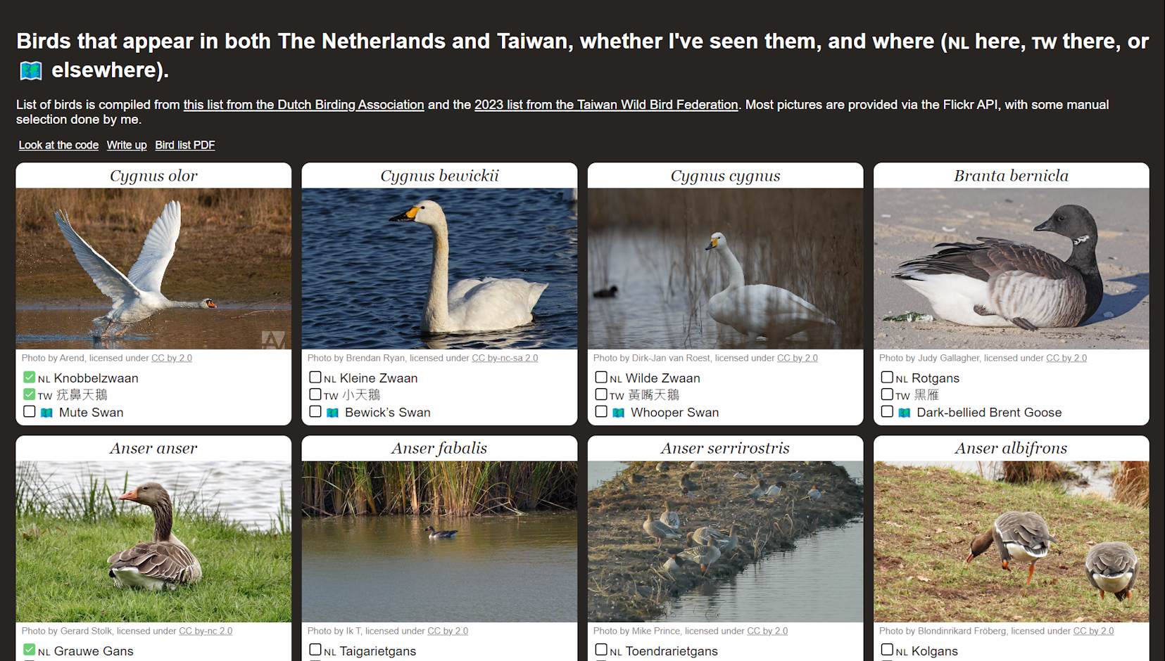 Screenshot of project website
